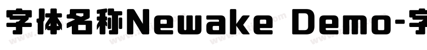 字体名称Newake Demo字体转换
